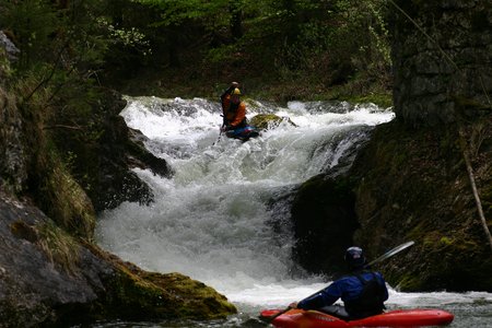 rakousko_jaro_2004_04.jpg