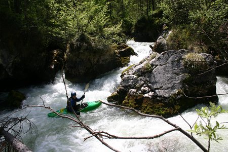 rakousko_jaro_2004_33.jpg